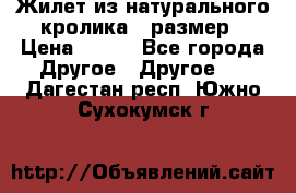 Жилет из натурального кролика,44размер › Цена ­ 500 - Все города Другое » Другое   . Дагестан респ.,Южно-Сухокумск г.